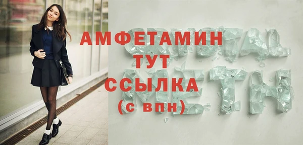 шишки Богородицк