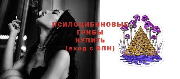 экстази Богородск