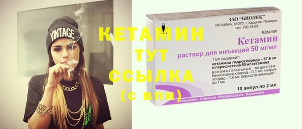 шишки Богородицк