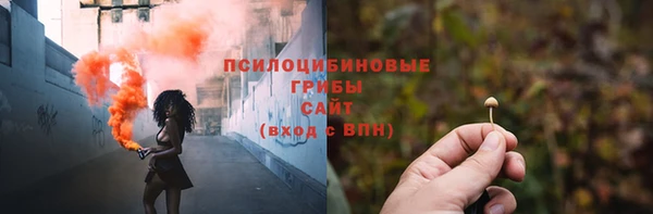 шишки Богородицк
