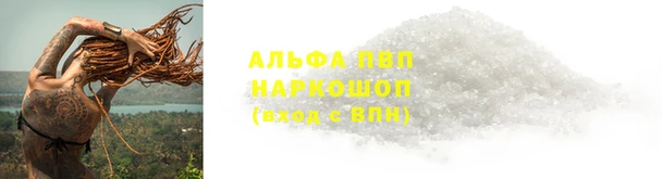 шишки Богородицк
