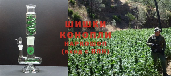 шишки Богородицк