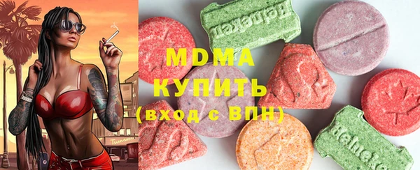 шишки Богородицк