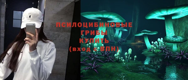 экстази Богородск