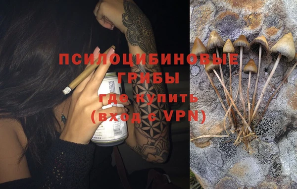 шишки Богородицк