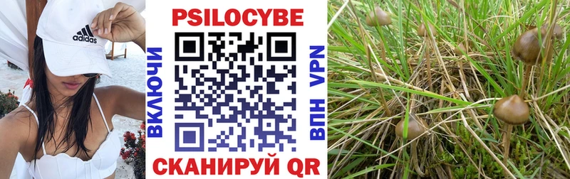 Галлюциногенные грибы мицелий Мурино