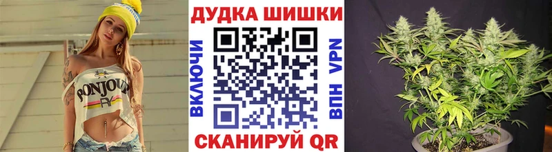 Каннабис OG Kush  Мурино 